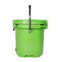 Parrot Green