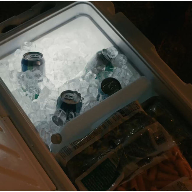 ARCTIC Roto-moulded 55 Cooler